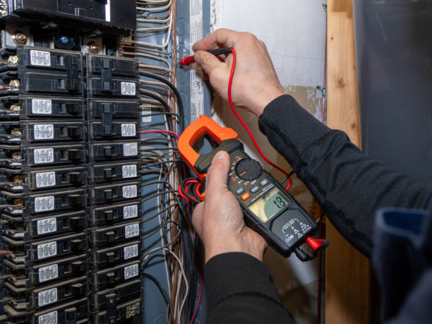 Best Electric Panel Repair  in Carnesville, GA